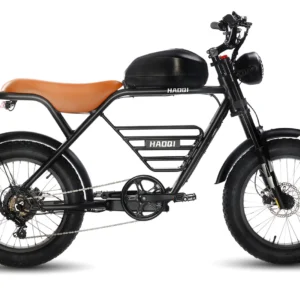 52V 1000W Electric Cafe Racer with 26.1AH Battery | HAOQI Rhino